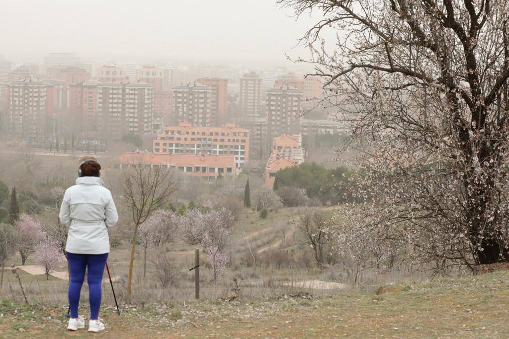 Fotos: La calima cubre Valladolid de un fino manto naranja (2/2)