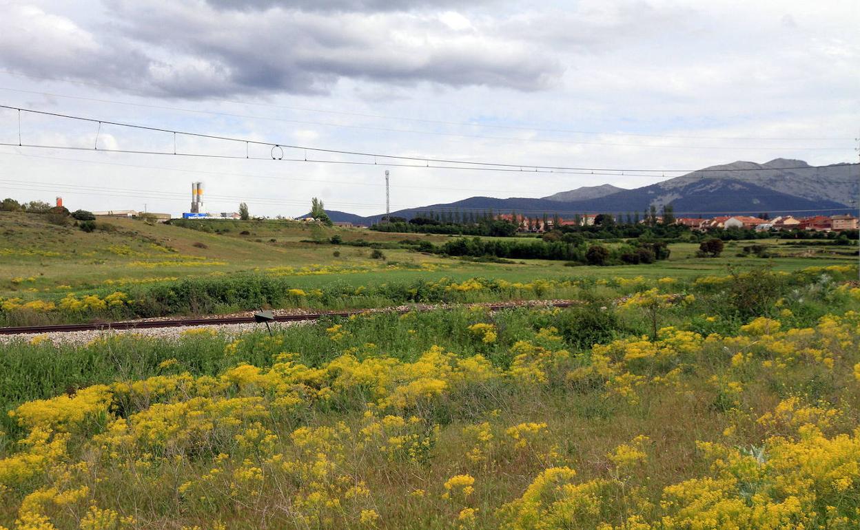 Terrenos donde se ha de desarrollar el área industrial de Prado del Hoyo, que incluye el puerto seco. 