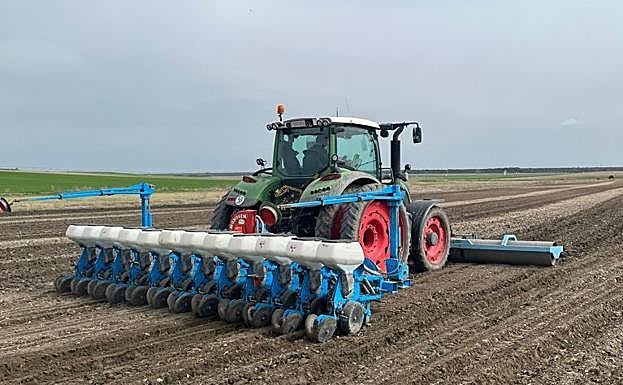 Siembra de remolacha en los últimos días. 