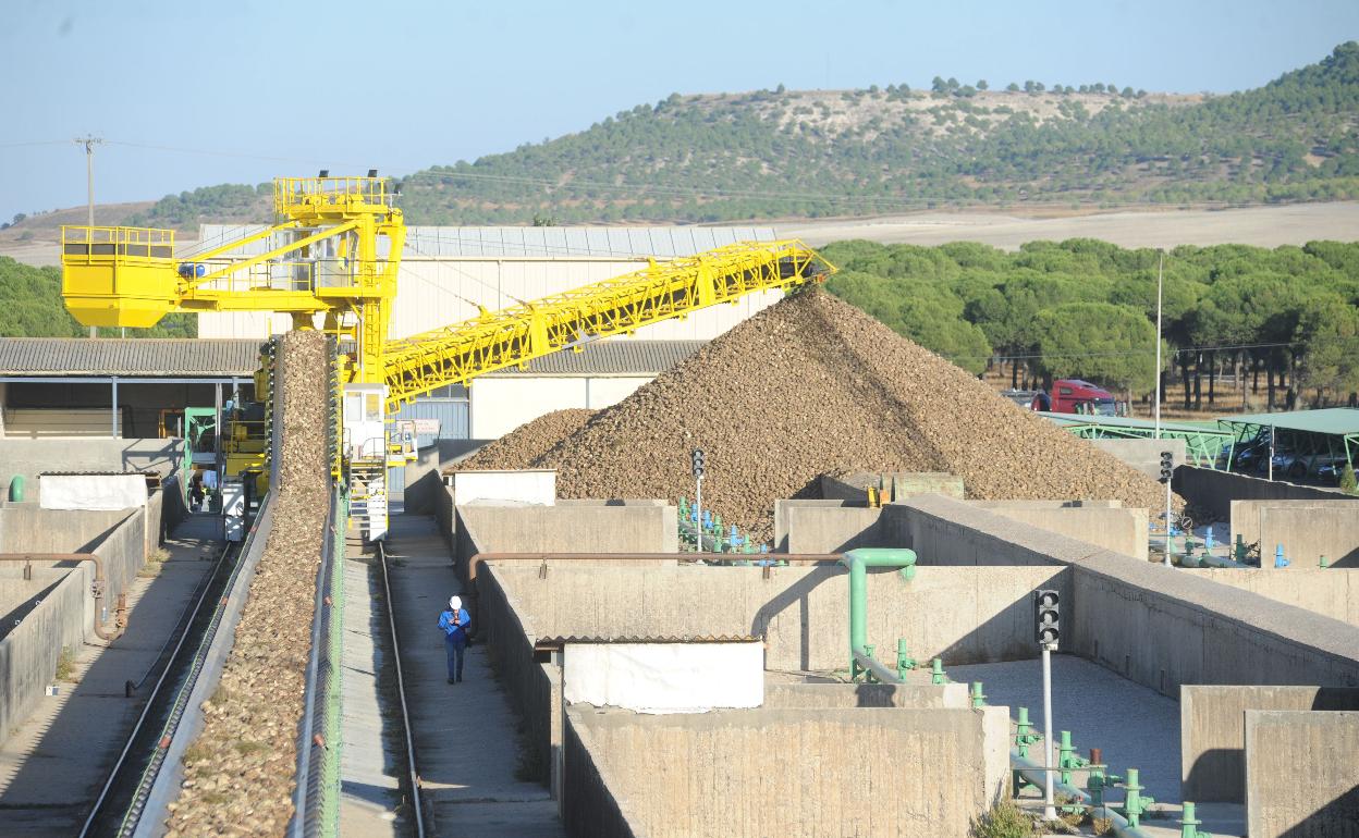 Instalaciones de la factoría azucarera de Acor en Olmedo. 
