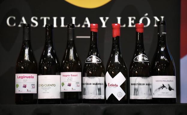 Los siete vinos de la cata. 