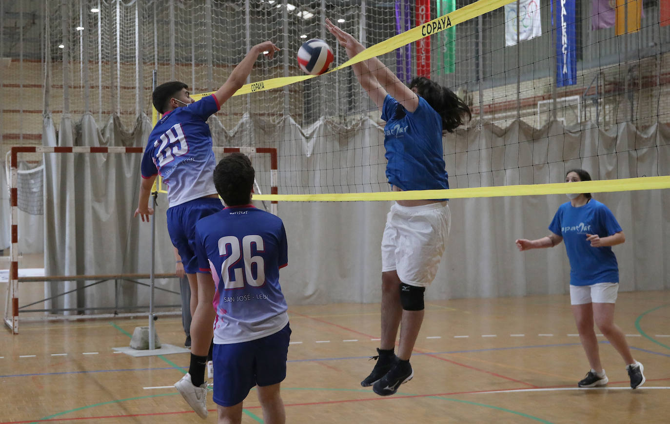 Fotos: El colegio Maristas celebra sus Olimpiadas