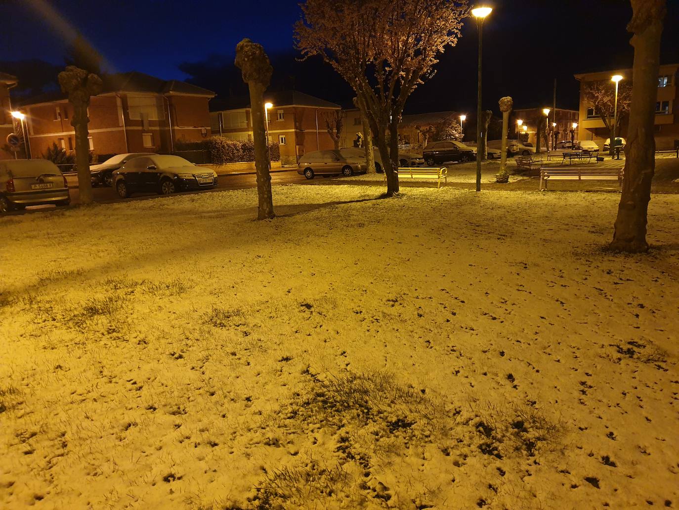 Fotos: La nieve cubre la Montaña Palentina en abril