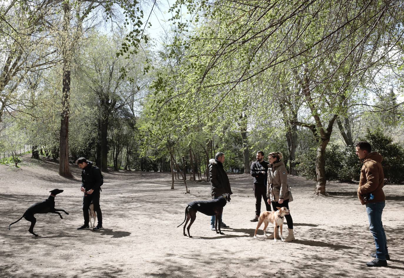 Fotos: Parque canino de las Moreras en Valladolid