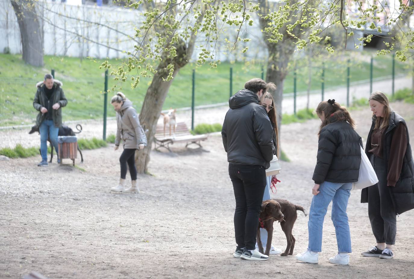 Fotos: Parque canino de las Moreras en Valladolid