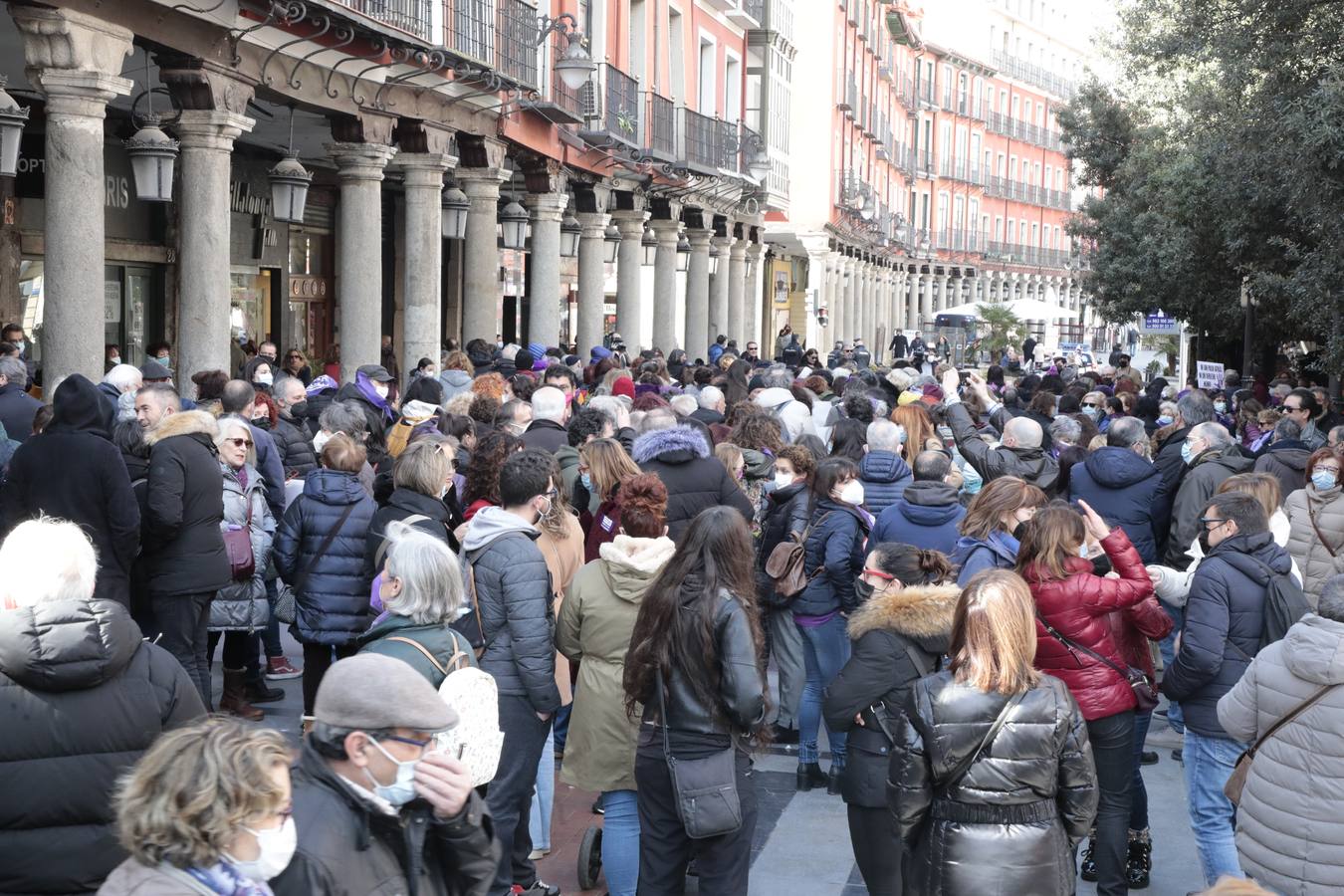 Fotos: Manifestación feminista en Valladolid