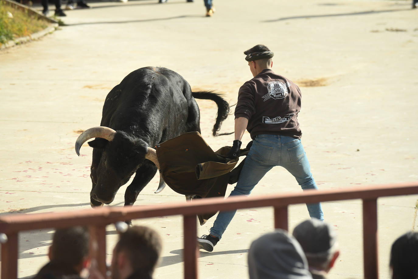 El 'Toro del Arrope' regresa a Siete Iglesias. 