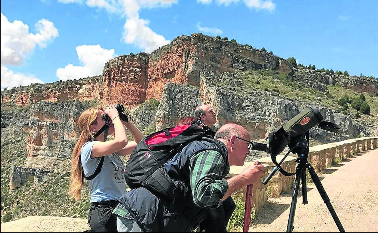 Un grupo de aficionados realizan una observación de aves en las Hoces del Río Riaza. 