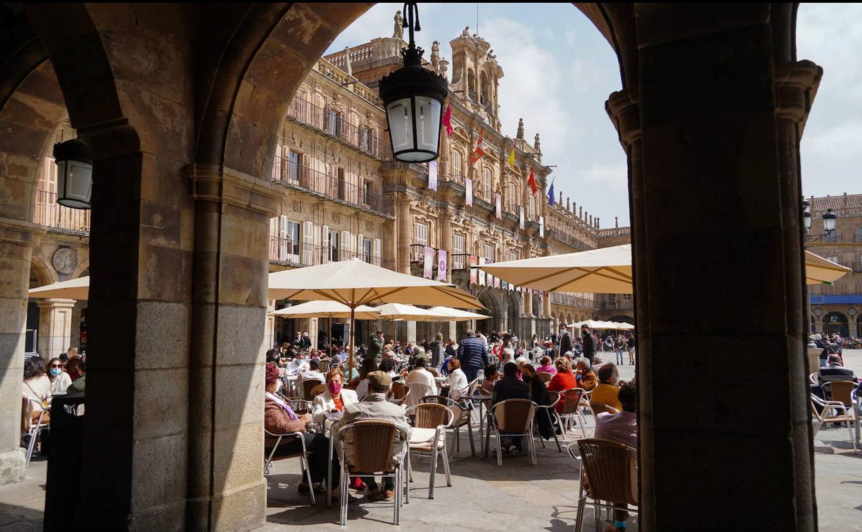 Terrazas en la Plaza MAyor