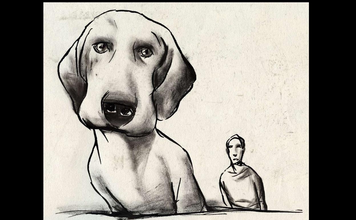 No hay bichos en Valladolid