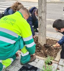 Imagen secundaria 2 - El proyecto &#039;Alcorques savios&#039; de Salamanca favorece la biodiversidad en los barrios y la participación ciudadana