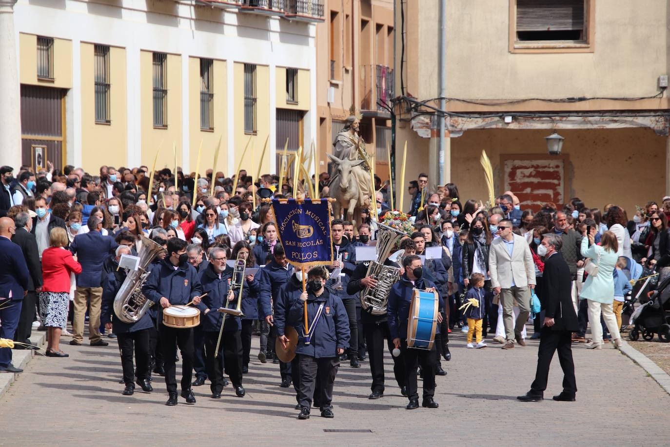 Fotos: Procesión de Las Palmas en Medina de Rioseco (2/3)