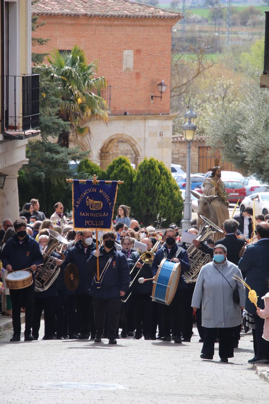 Fotos: Procesión de Las Palmas en Medina de Rioseco (2/3)