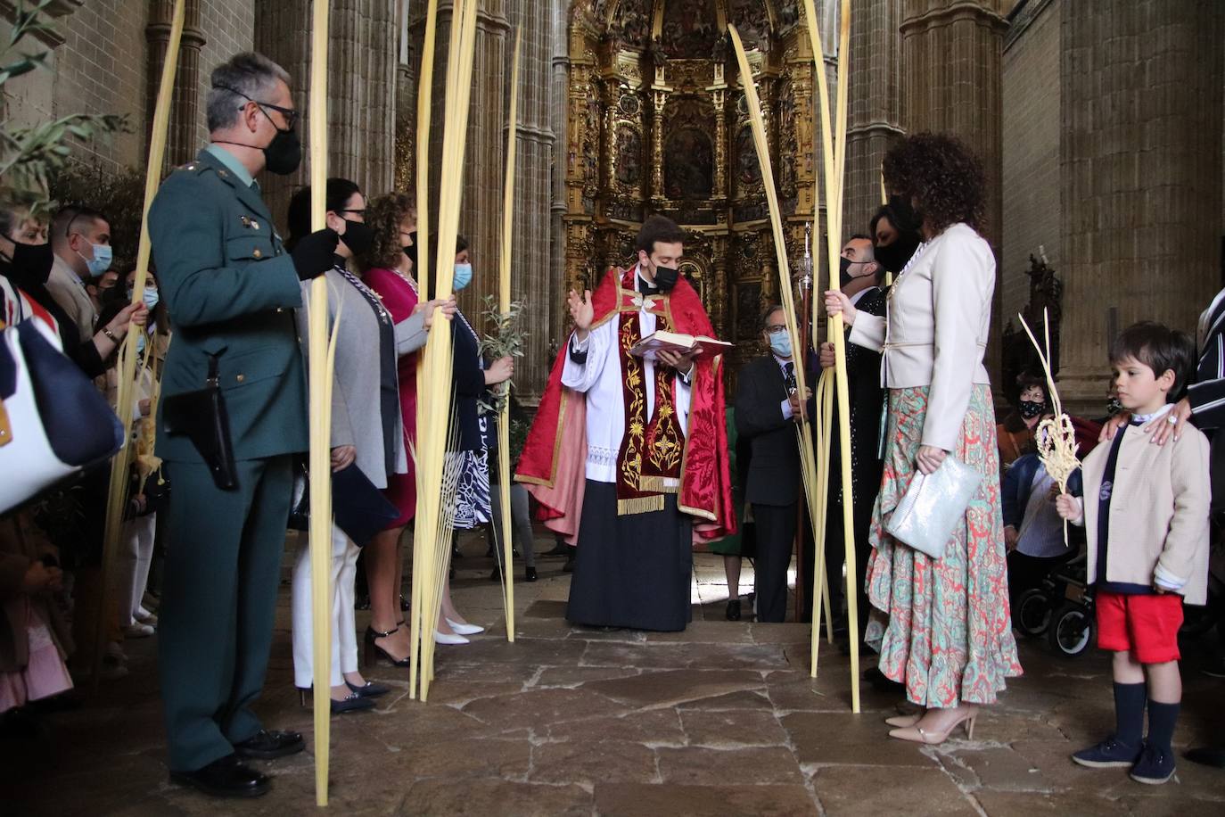 Fotos: Procesión de Las Palmas en Medina de Rioseco (3/3)