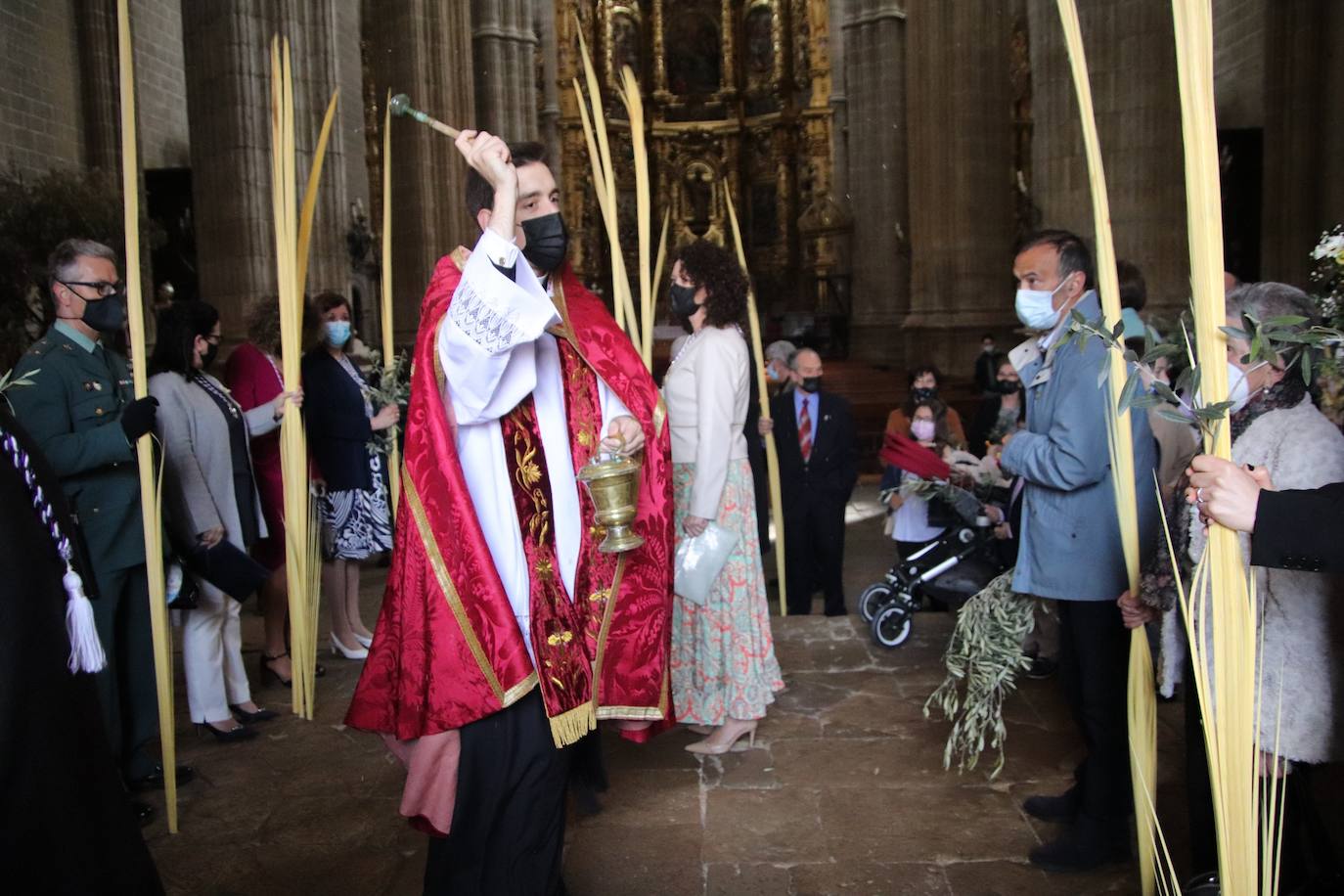 Fotos: Procesión de Las Palmas en Medina de Rioseco (3/3)