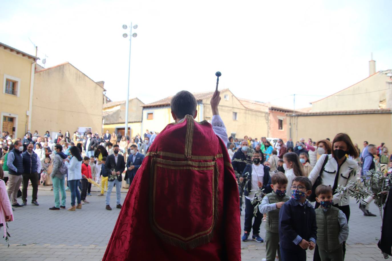 Fotos: Procesión de Las Palmas en Medina de Rioseco (3/3)