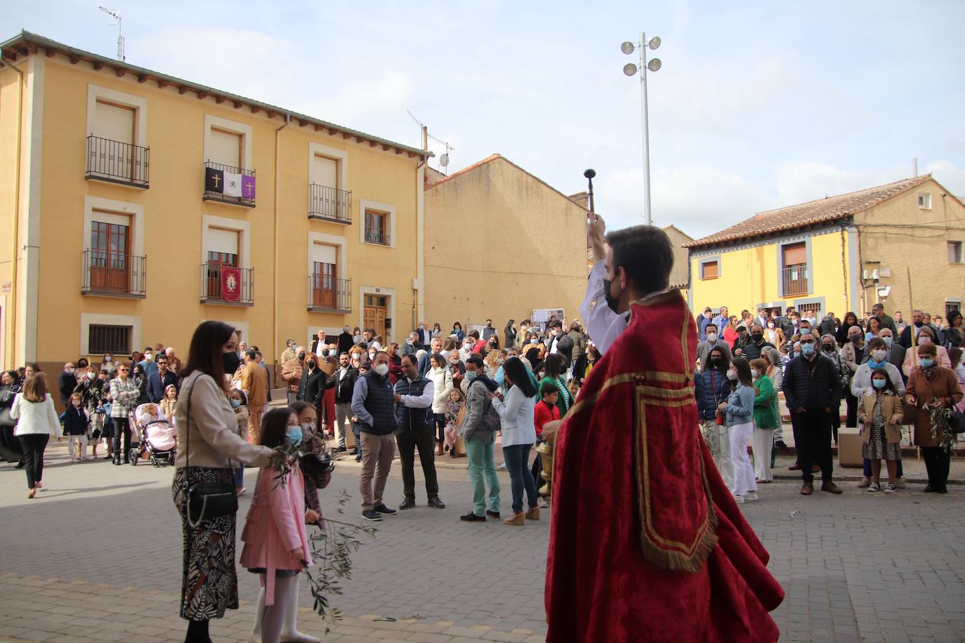 Fotos: Procesión de Las Palmas en Medina de Rioseco (3/3)