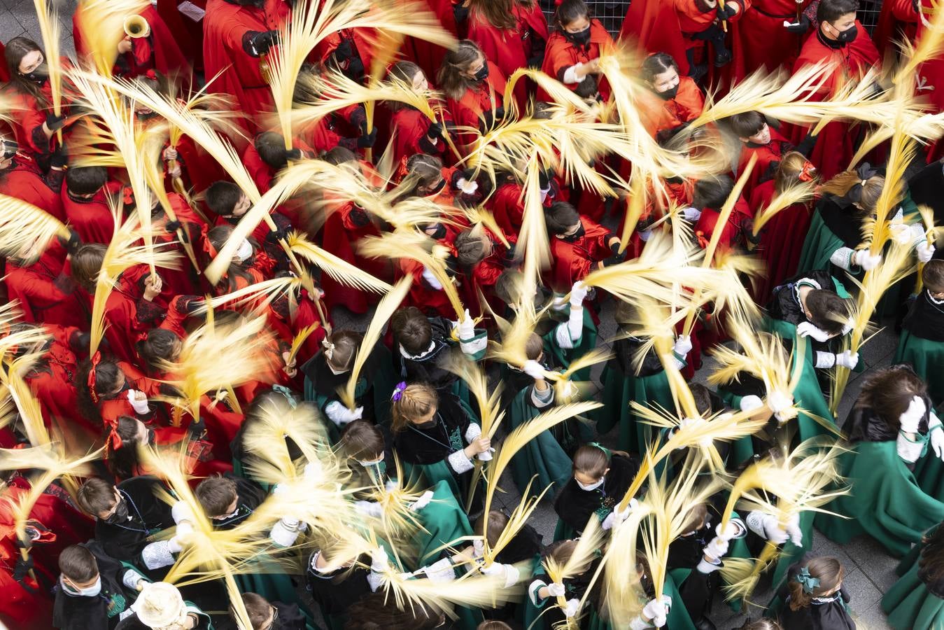 La procesión de La Borriquilla a su paso por las calles de Valladolid. 