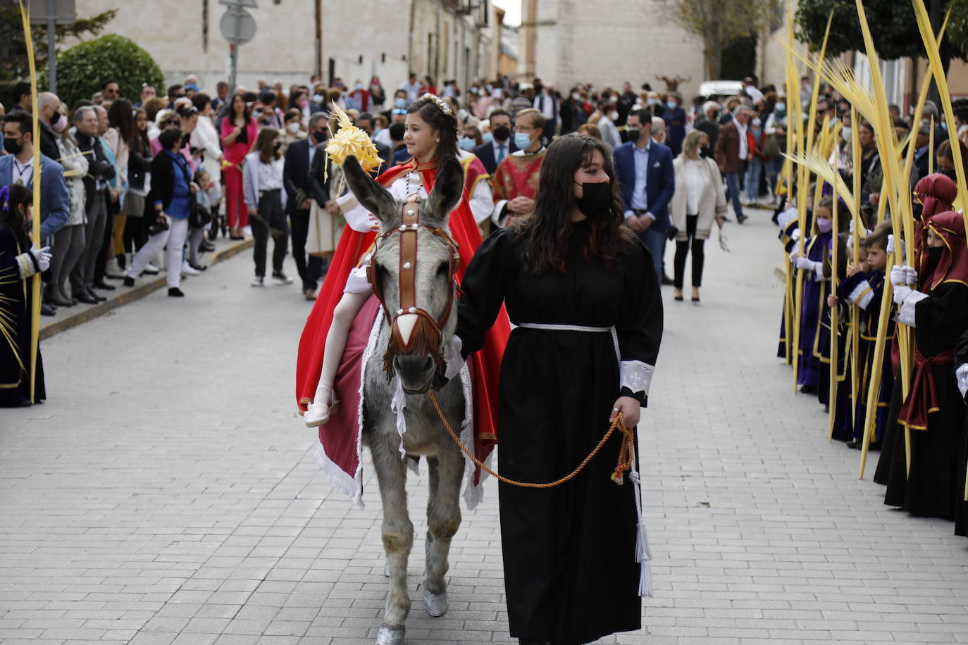 Fotos: Procesión de La Borriquilla en Peñafiel (1/2)