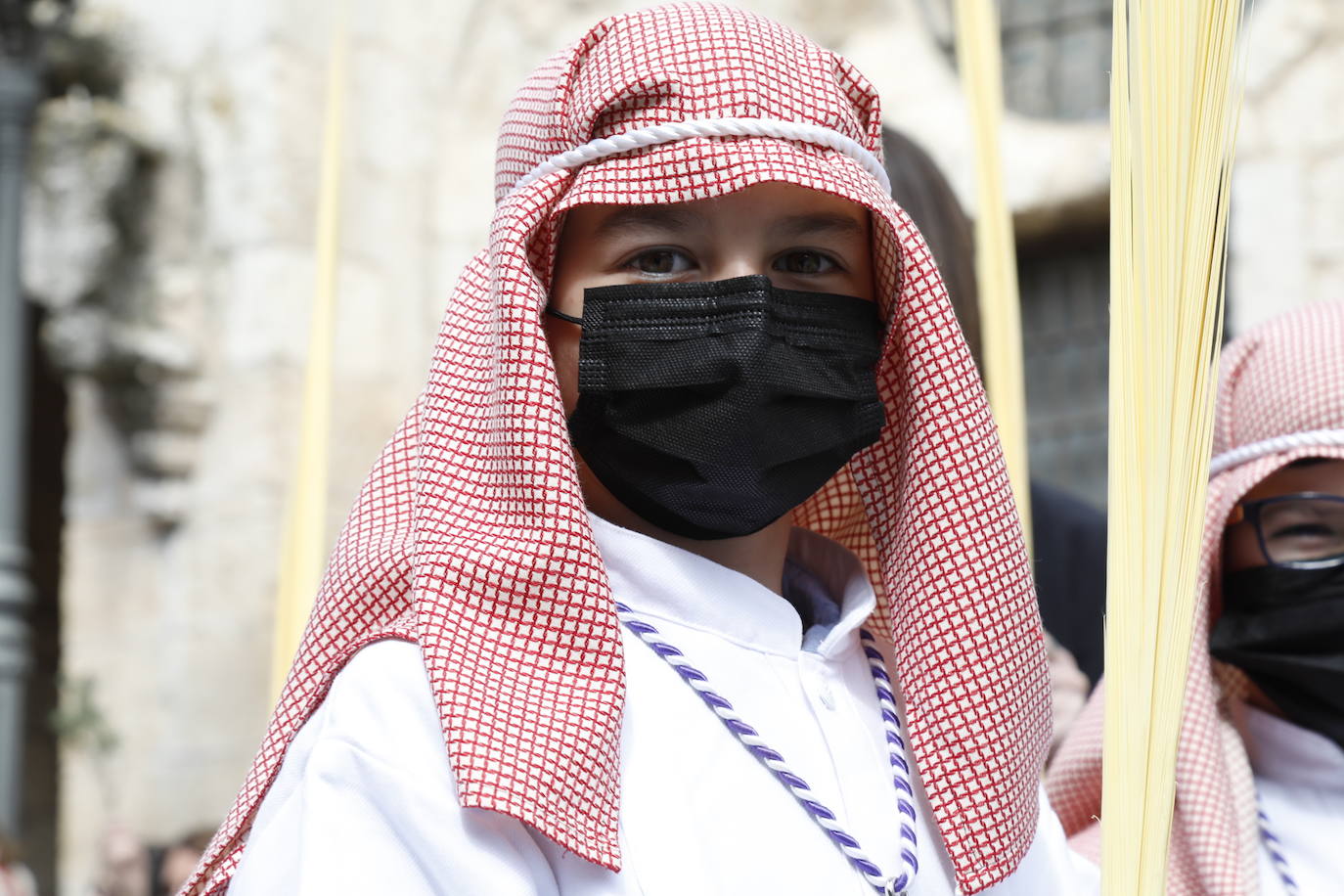 Fotos: Procesión de La Borriquilla en Peñafiel (2/2)