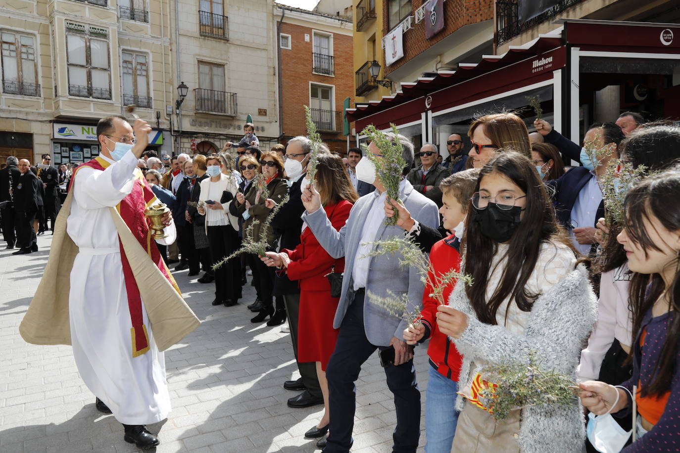 Fotos: Procesión de La Borriquilla en Peñafiel (2/2)