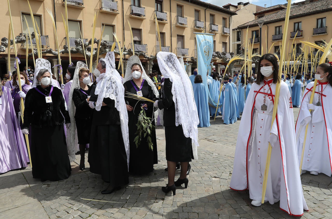 Fotos: Procesión de la Borriquilla en Palencia