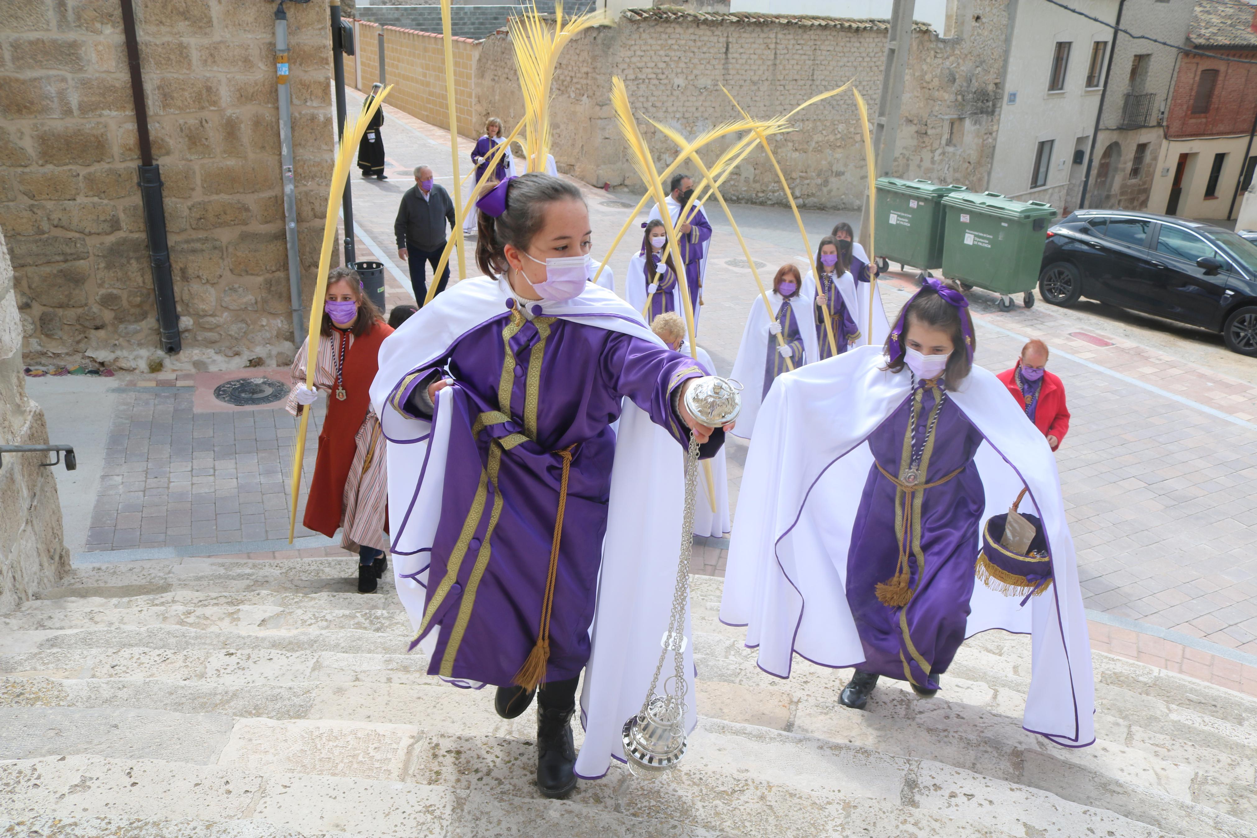 Procesión de Ramos en Baltanás