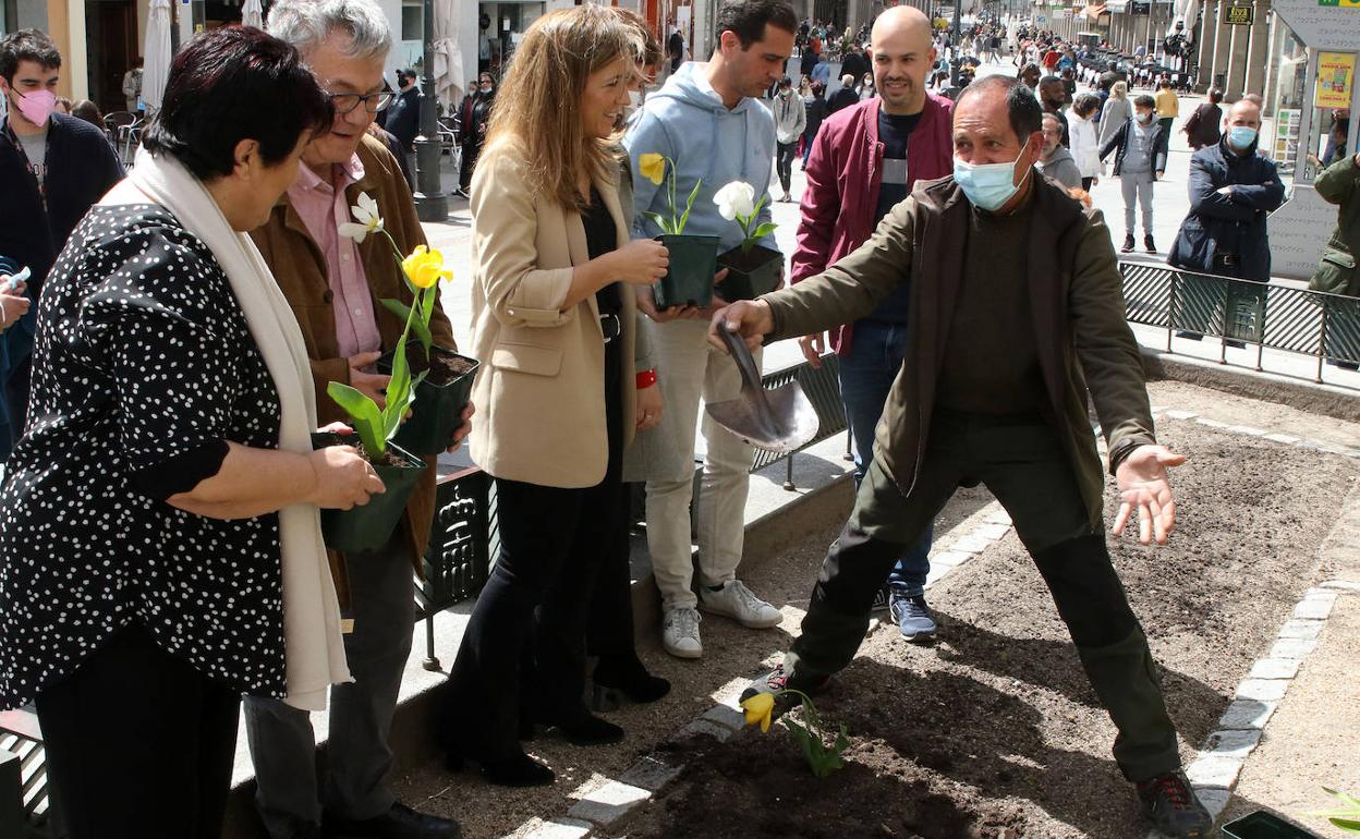 Un momento de la plantación de tulipanes en la avenida del Acueducto.