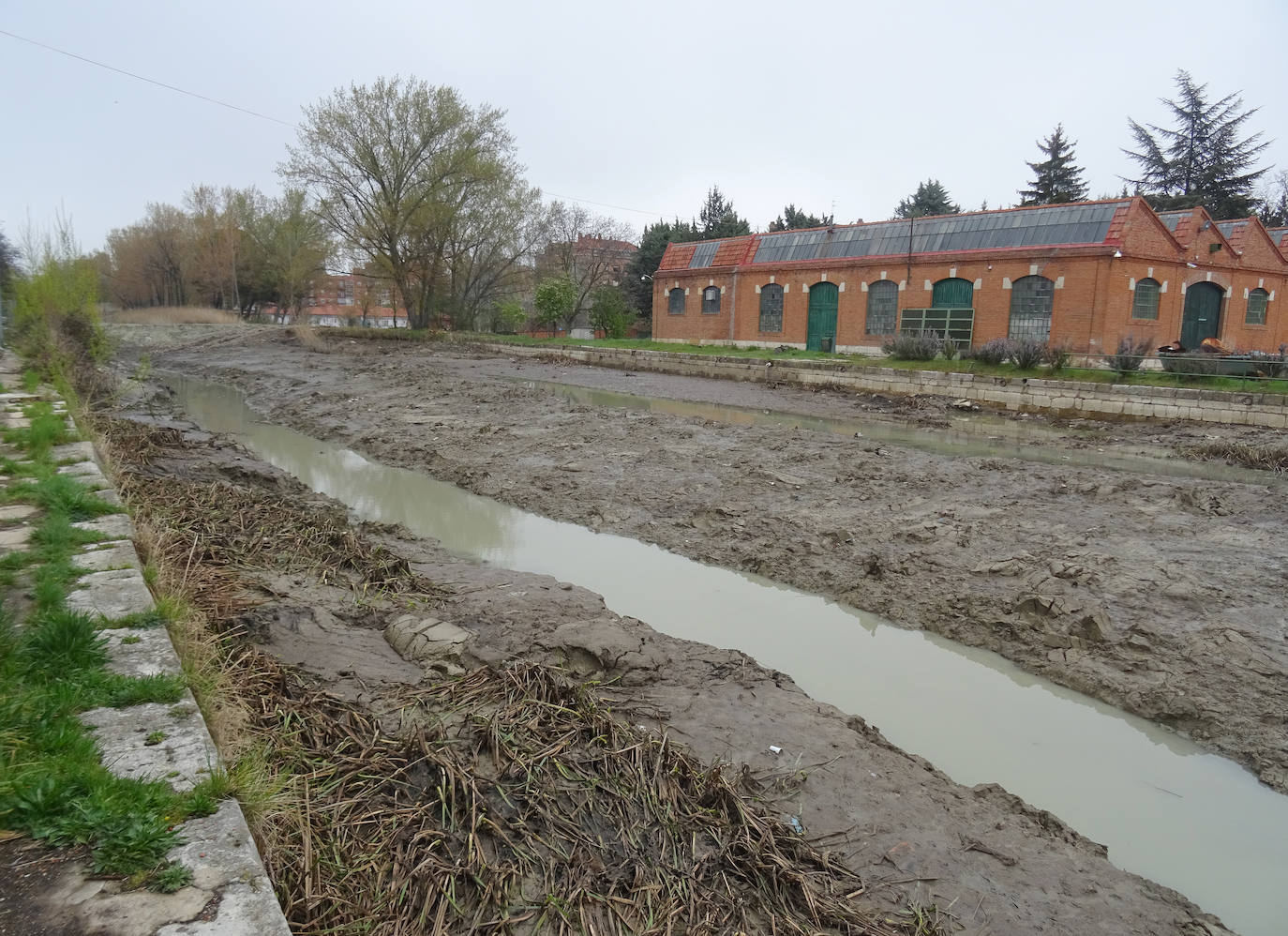 Fotos: Limpieza en la dársena del Canal de Castilla a su paso por Valladolid