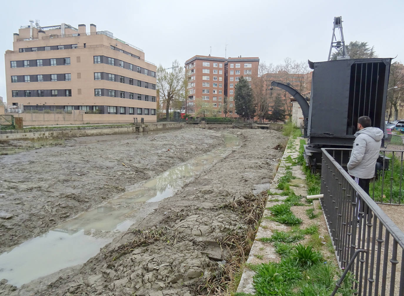 Fotos: Limpieza en la dársena del Canal de Castilla a su paso por Valladolid