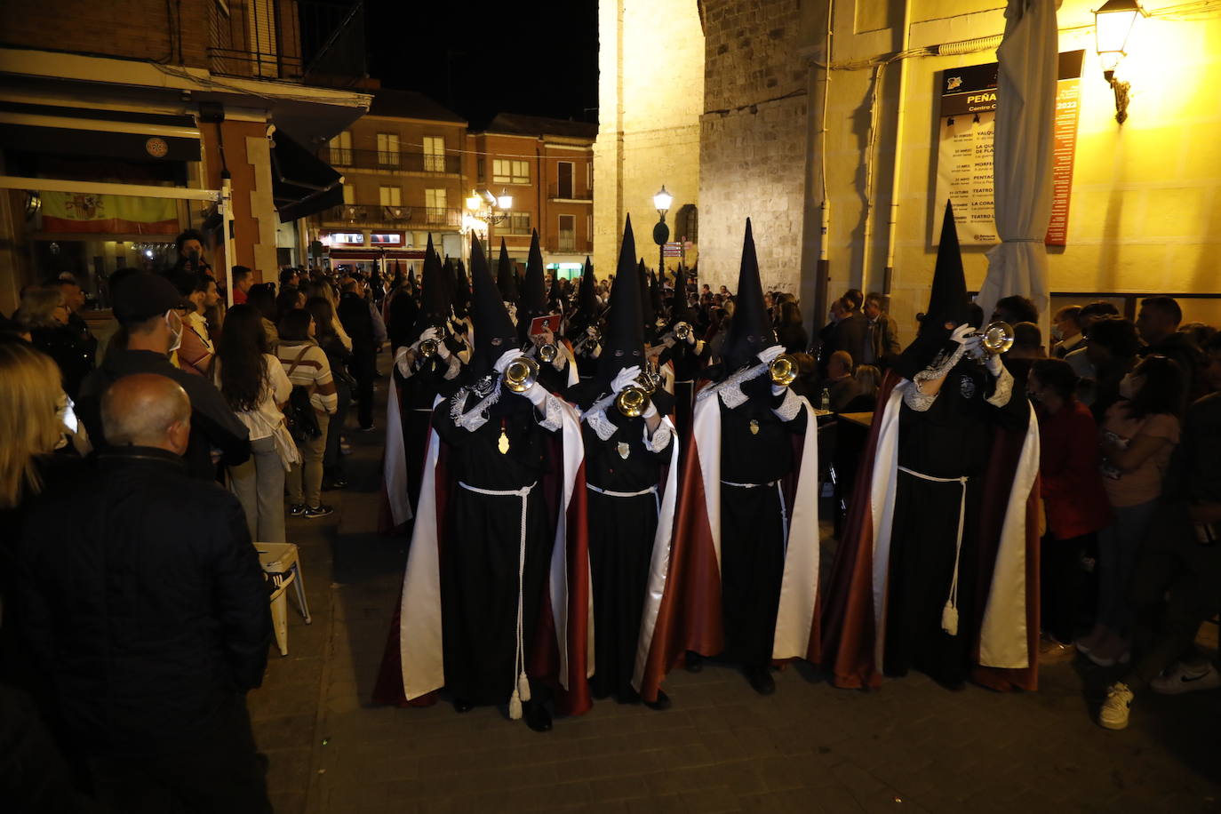 Fotos: Procesión General del Viernes Santo en Peñafiel (4/5)