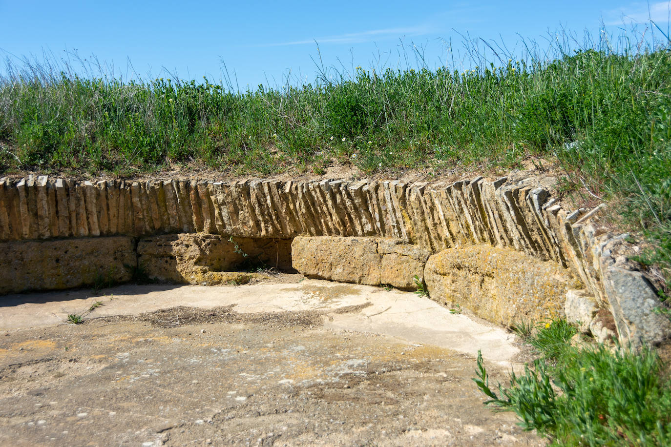 Fotos: Osorno muestra la huella de Dessobriga
