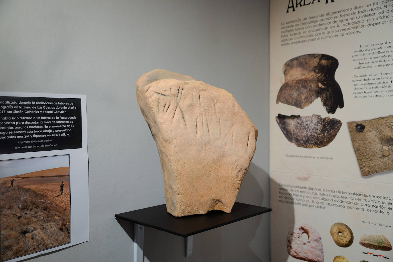 Fotos: Osorno muestra la huella de Dessobriga