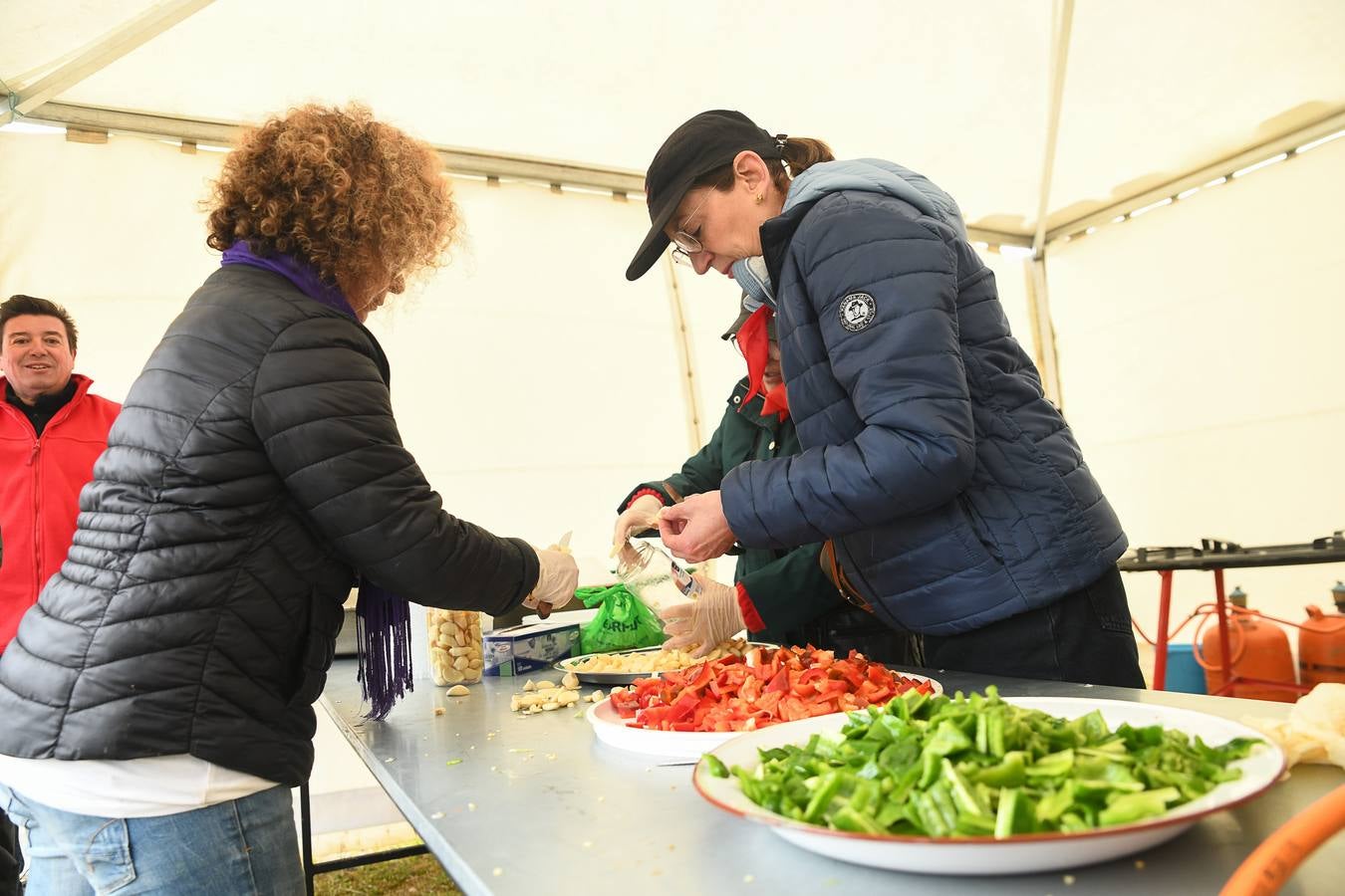 Fotos: Día de Castilla y León en Villalar de los Comuneros (3)