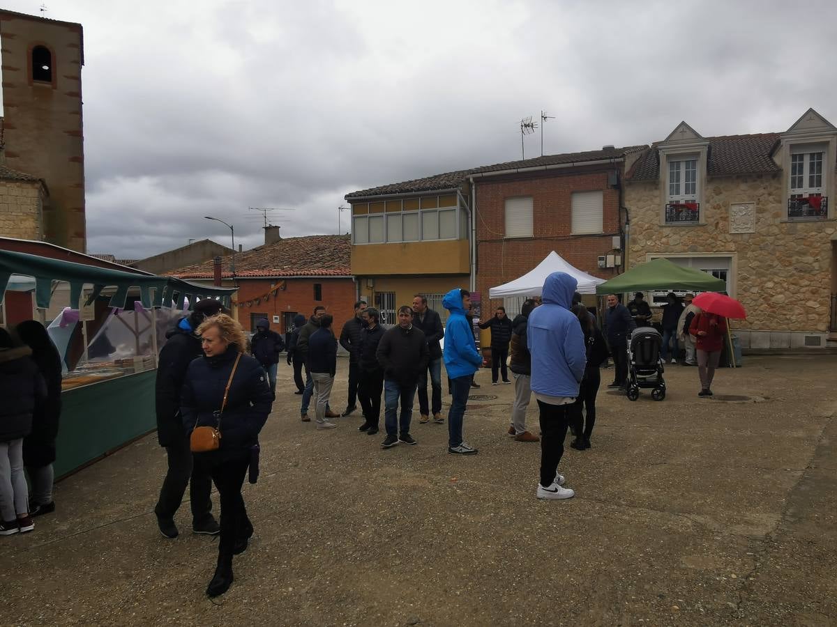 Fotos: Mercado comunero de Torrelobatón