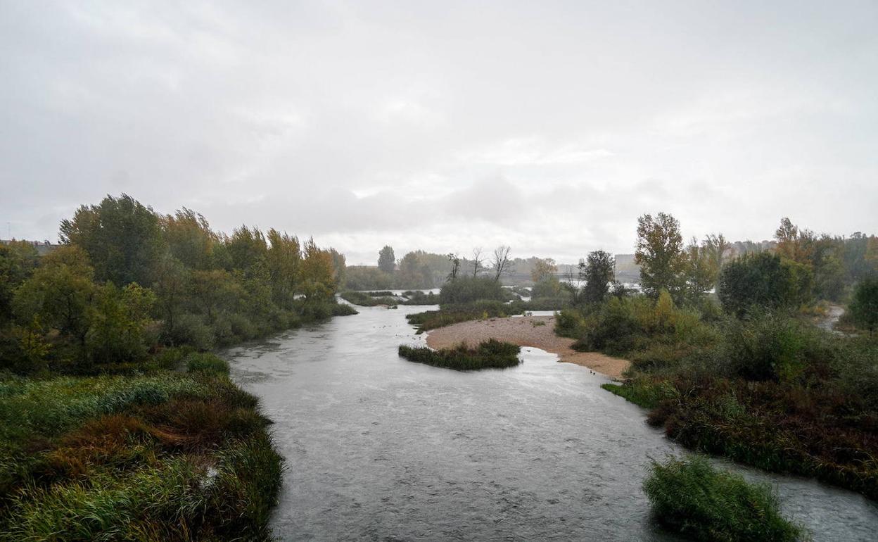 Río Tormes