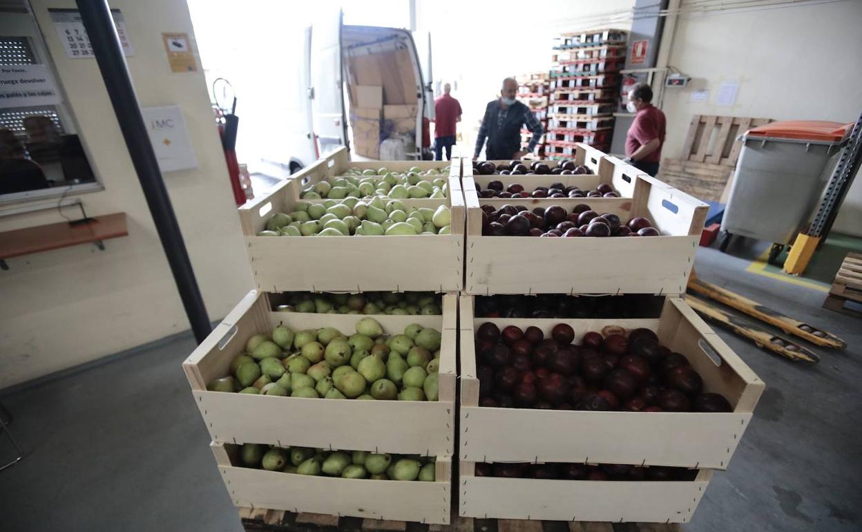 Varios voluntarios reparten la fruta que llega a la nave de la entidad vallisoletana. 