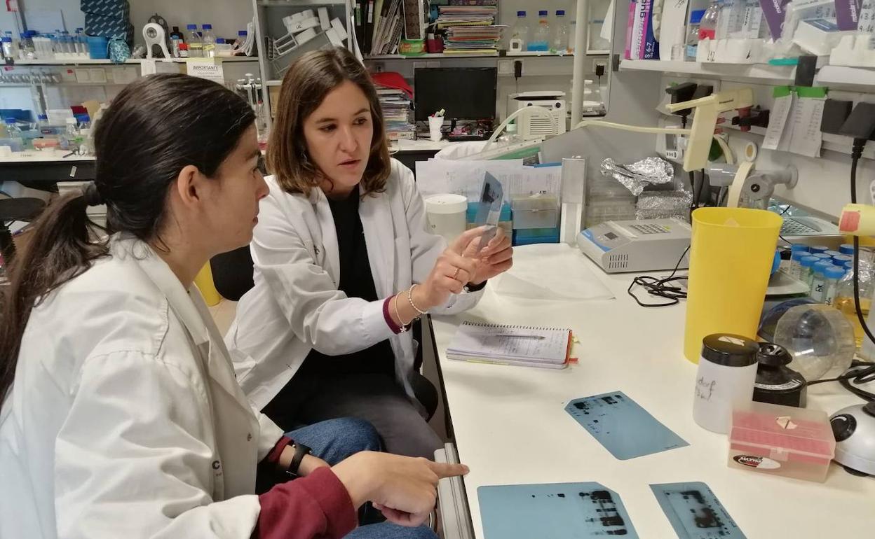 Científicas del Centro de Investigación contra el Cáncer de Salamanca (CIC).