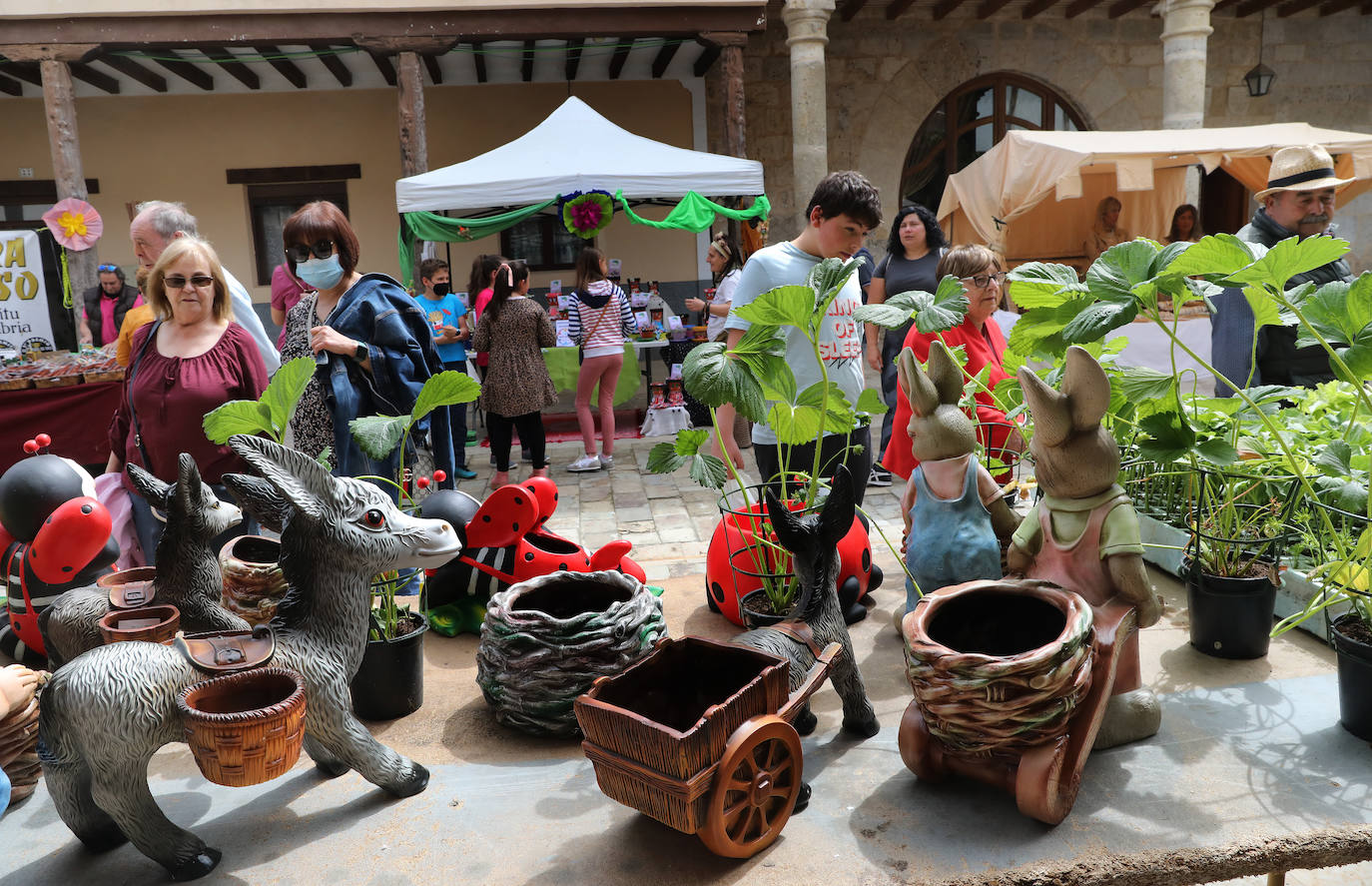 Fotos: Mercado de la Flor de Ampudia