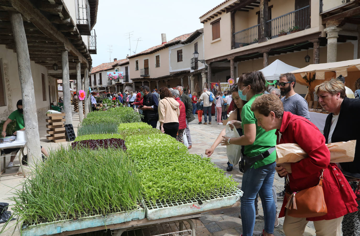 Fotos: Mercado de la Flor de Ampudia