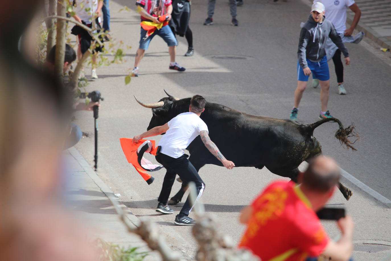 El municipio vallisoletano ha vivido una jornada festiva con toros y vino.