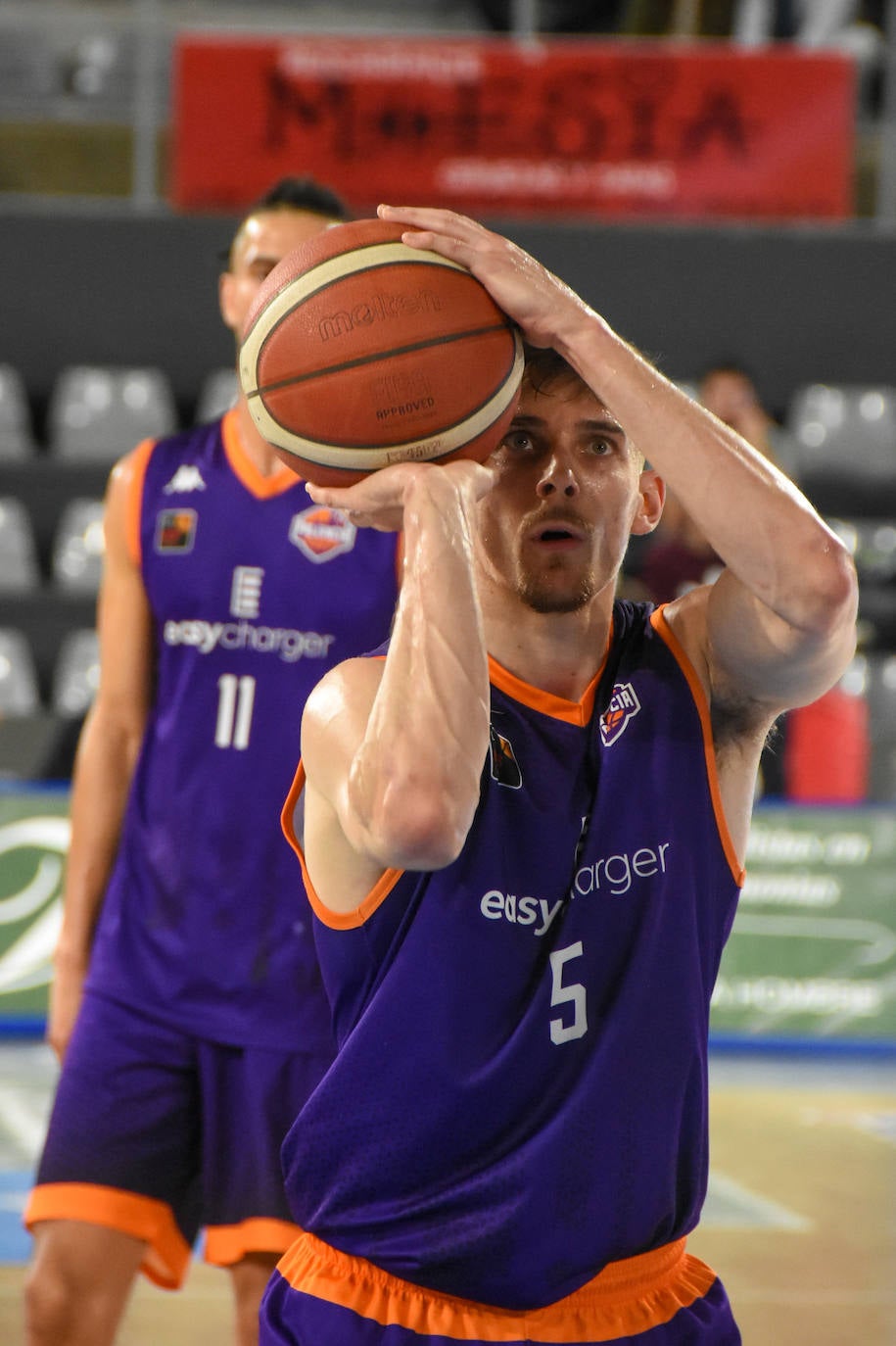 Fotos: El Palencia Baloncesto regresa a la victoria