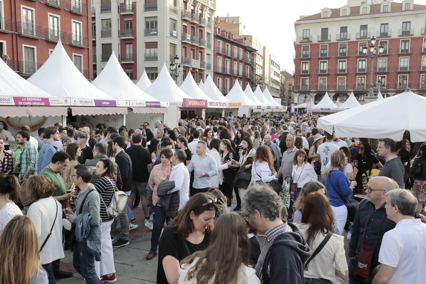 Fotos: Segunda jornada de Plaza Mayor del Vino en Valladolid (3/4)