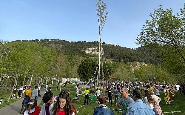 Imagen principal - Quintos de 2020, 2021 y 2022 pingando el mayo de Cabezón de Pisuerga 