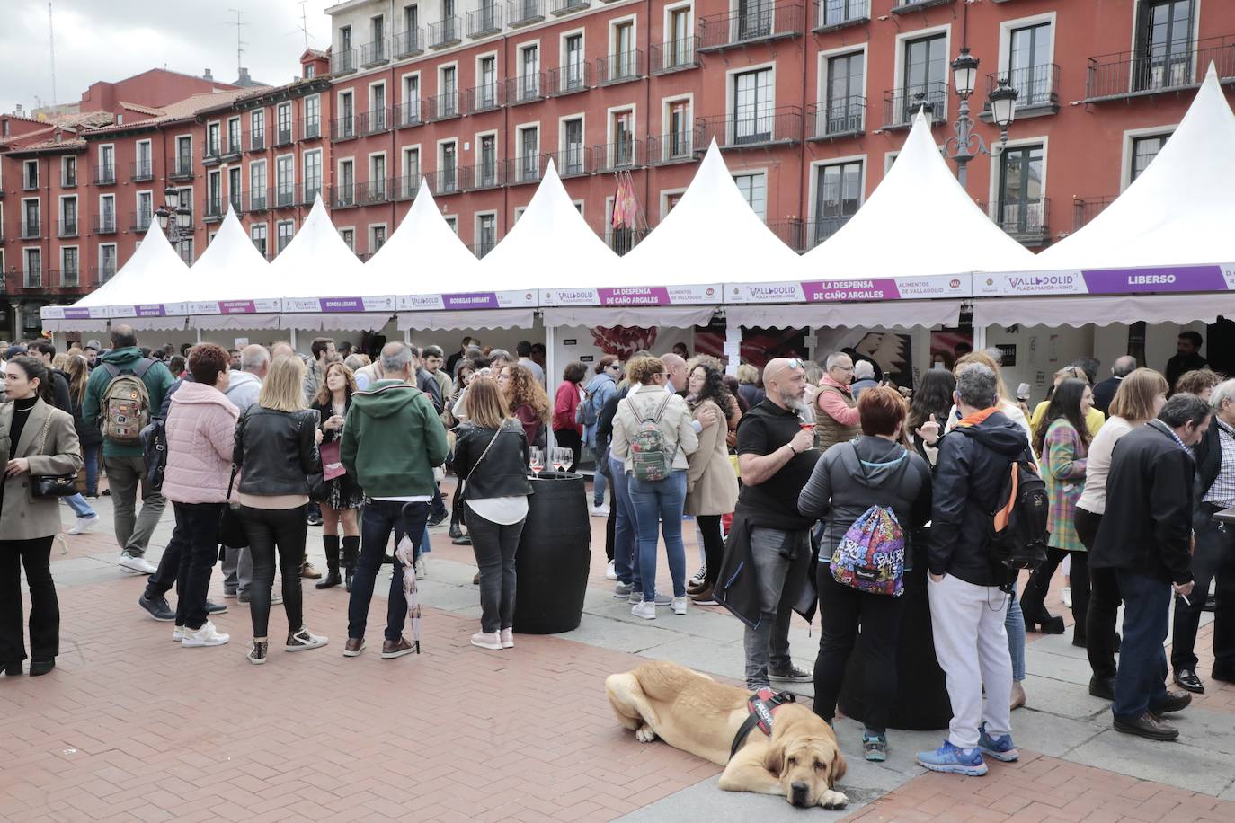 La jornada del lunes en la Plaza Mayor del Vino. 