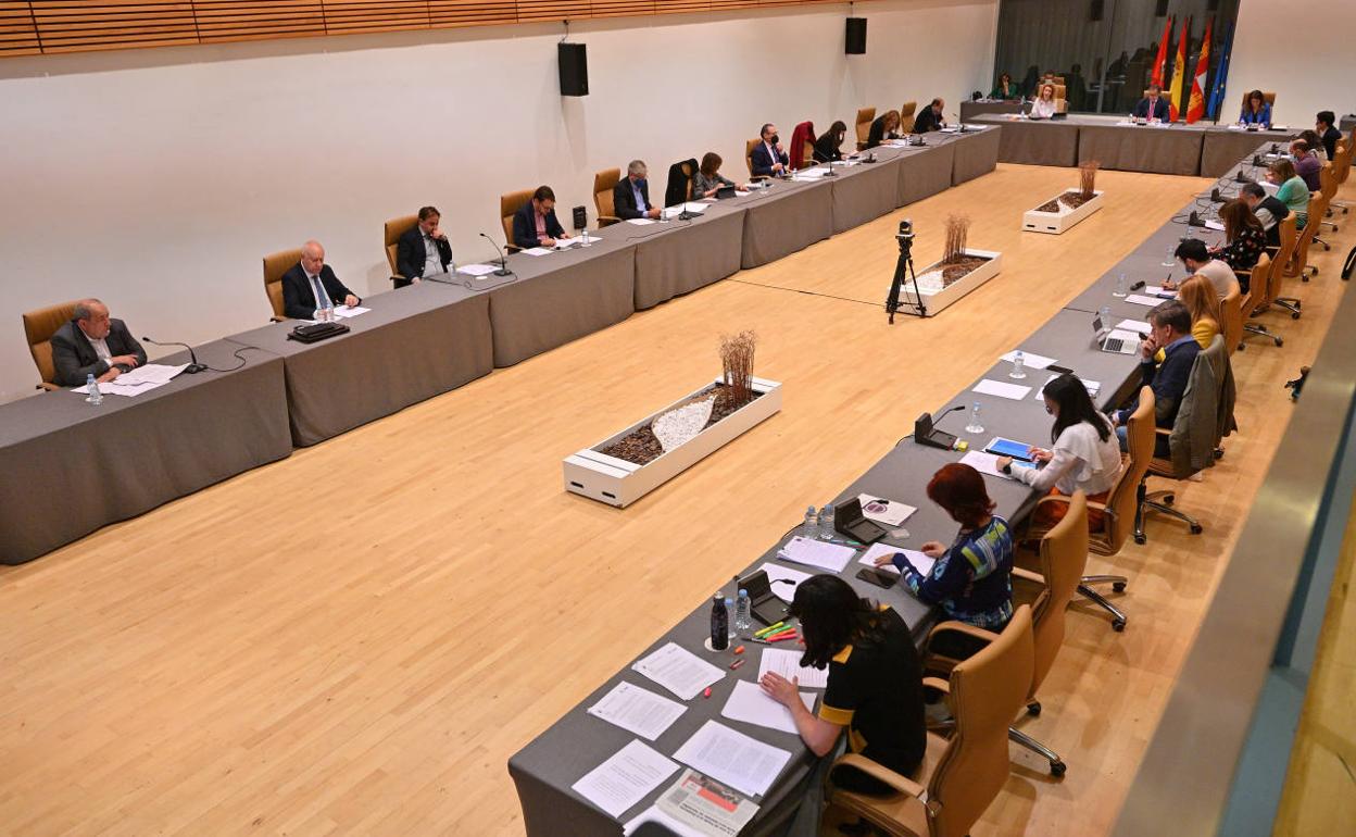 Un momento del pleno celebrado este viernes en el Palacio de Congresos. 