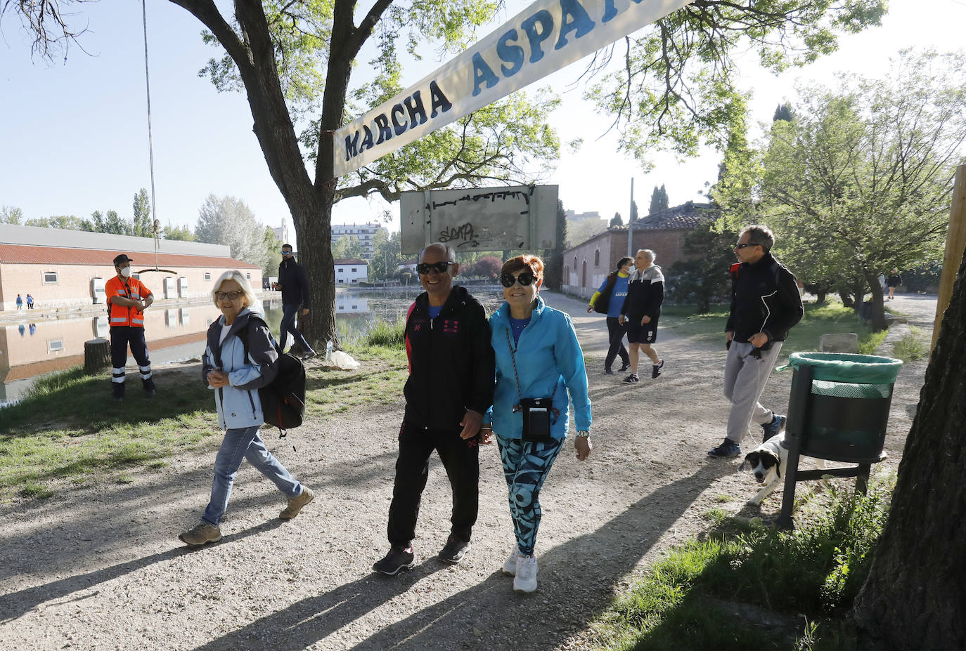 Fotos: La Marcha de Aspanis de Palencia en imágenes