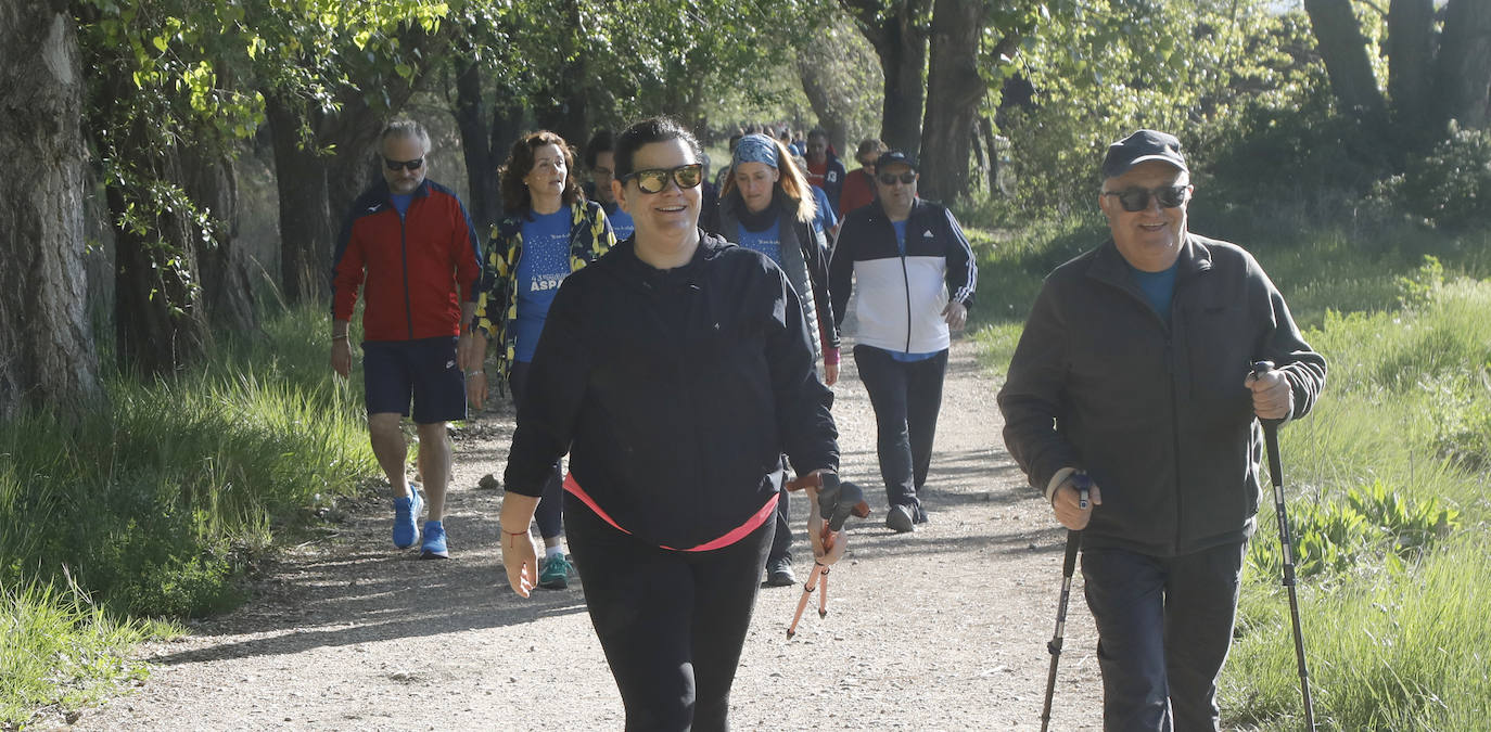 Fotos: La Marcha de Aspanis de Palencia en imágenes