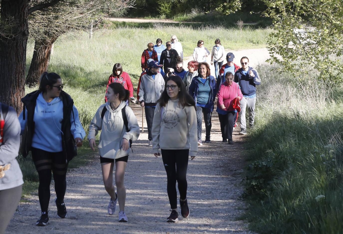 Fotos: La Marcha de Aspanis de Palencia en imágenes