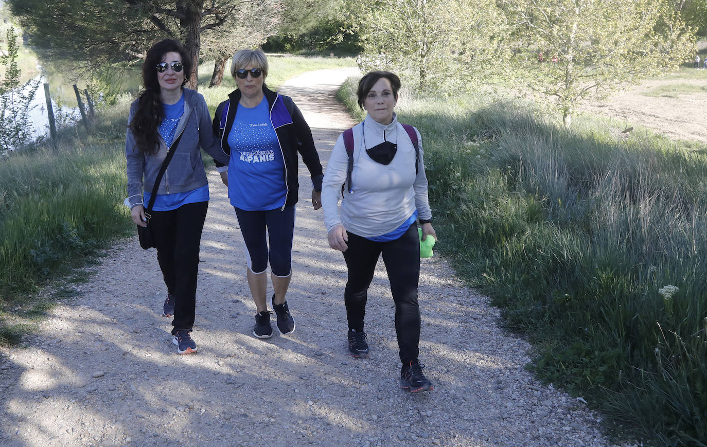 Fotos: La Marcha de Aspanis de Palencia en imágenes